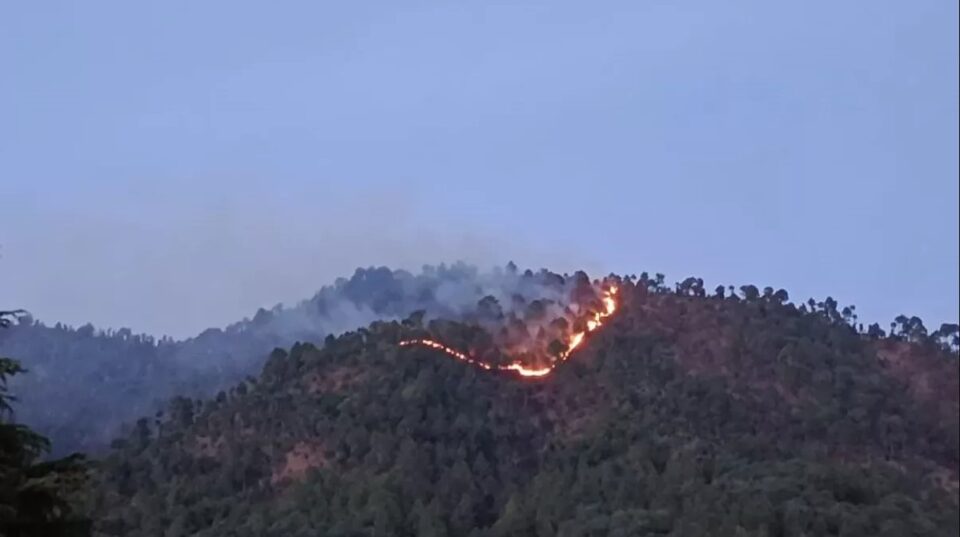 Uttarakhand: Jhumdhuri वन में लगी आग ने पांच हेक्टेयर वन क्षेत्र को नुकसान पहुंचाया, आग बुझाने में देरी, जंगली जानवरों ने दौड़कर बचाई जानें