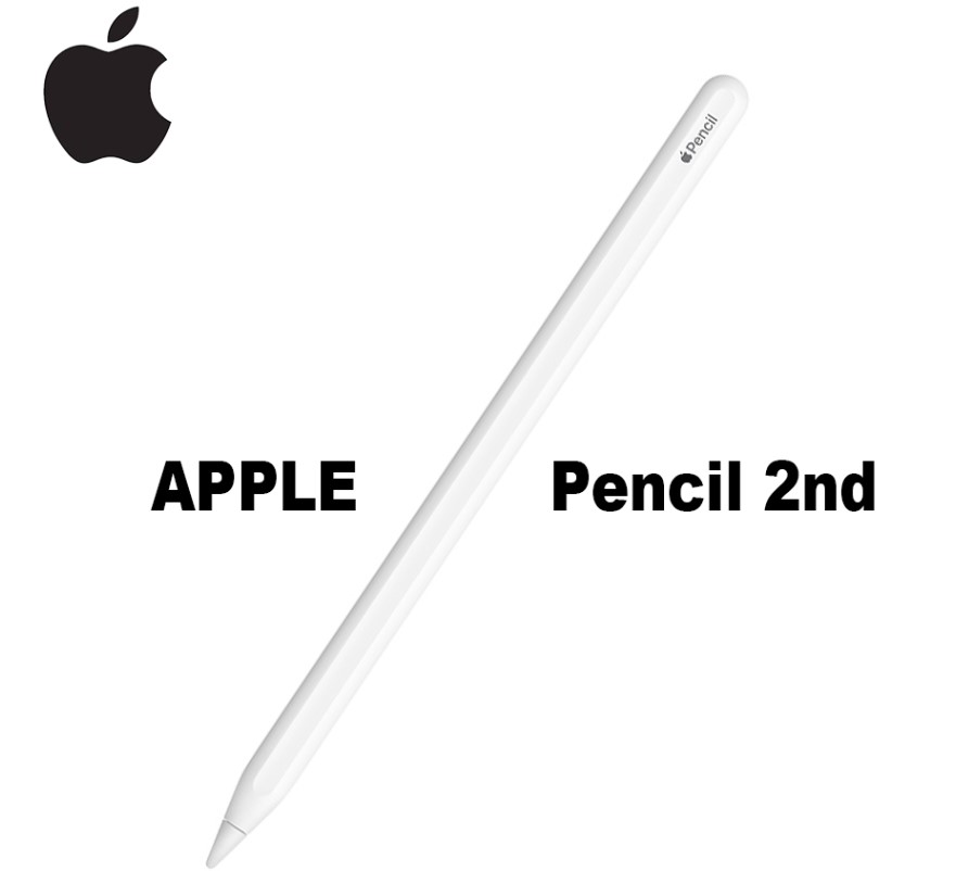 Apple Pencil 2 से अलग Apple Pencil Pro के 4 विशेषताएं - ऐपल पेंसिल 2 की तुलना, आईपैड की पूरी सूची पढ़े